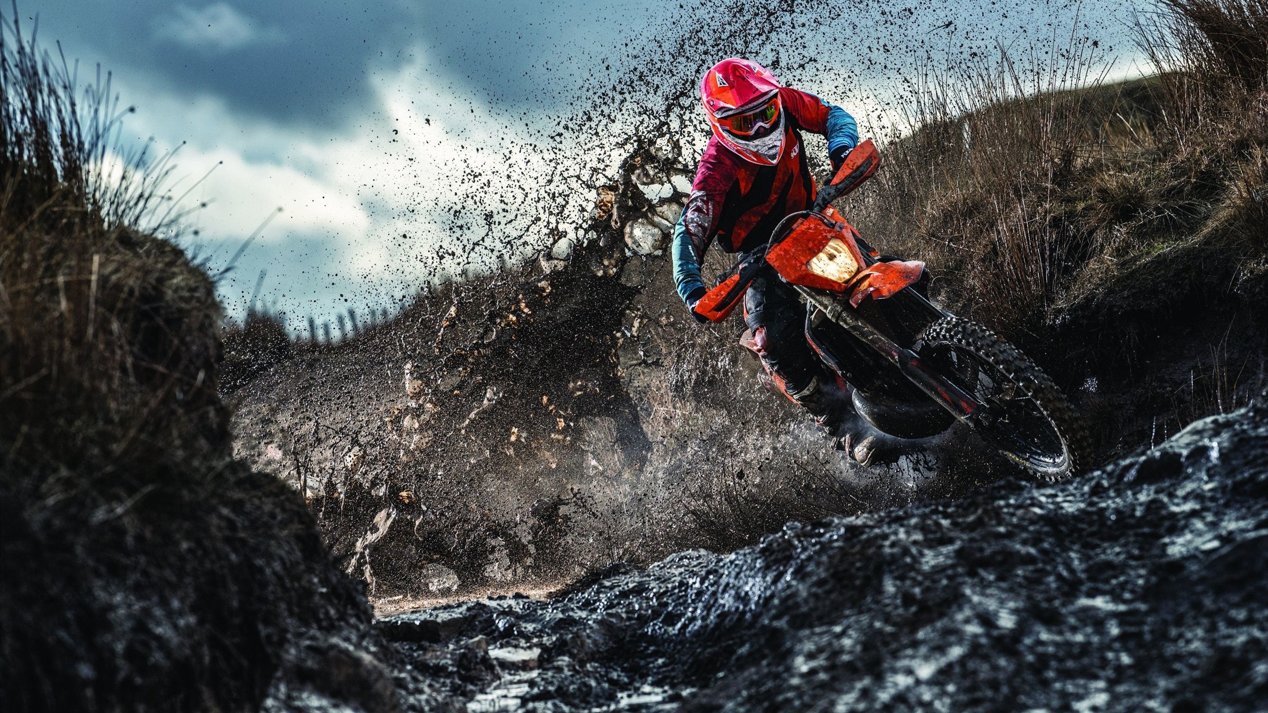 开云体育APP下载-“南非羚羊队的年轻血液：萨尔·巴赫如何改变比赛格局”