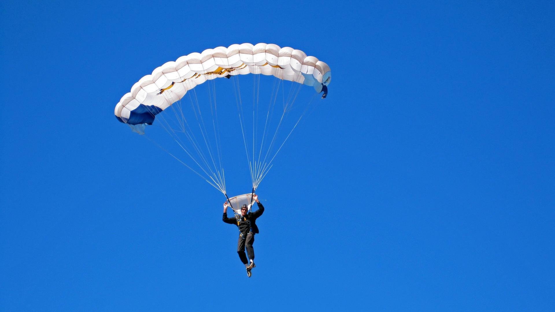 开云官网在线-荷兰女子蝶泳项目全面爆发，荷兰女子田径